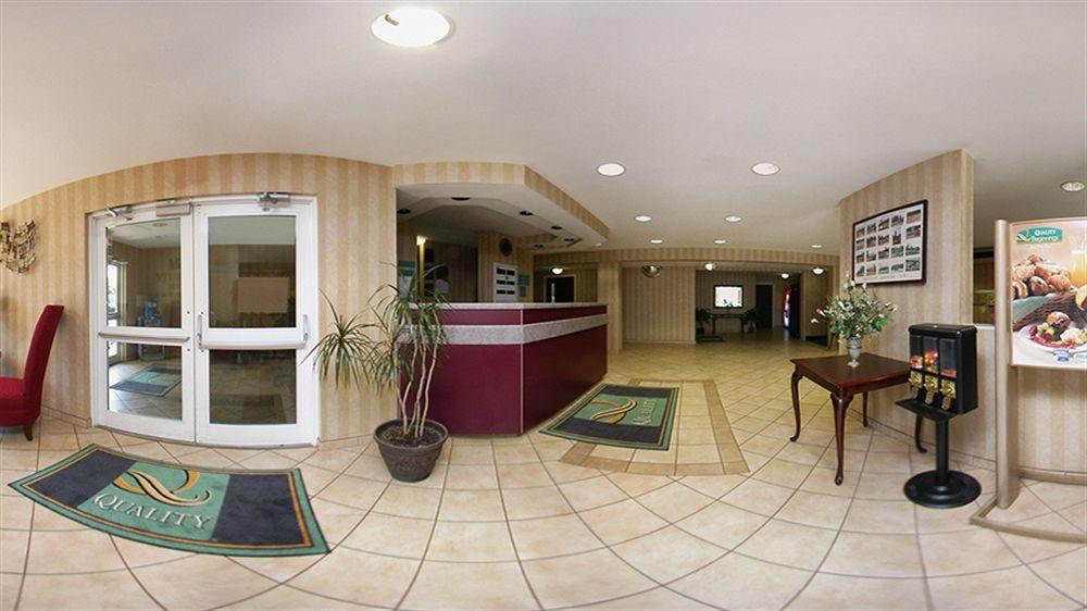 Quality Inn Chester - South Richmond Exterior foto